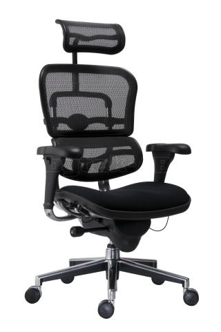 Kancelářská židle (křeslo) s područkami ERGOHUMAN (síťový opěrák)