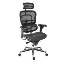 Kancelářská židle (křeslo) s područkami ERGOHUMAN (síťový opěrák+sedák)